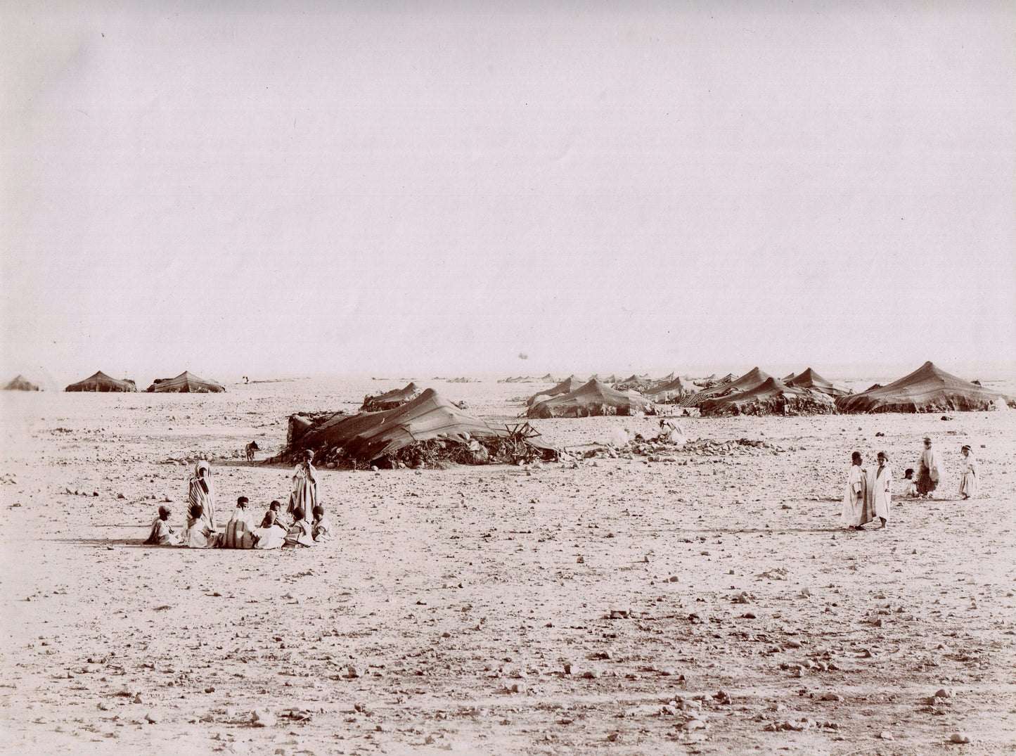 Algérie. Désert.Un Douar près de Biskra.Photo 22,5x 28,4cm. 1890.Campement de Nomades