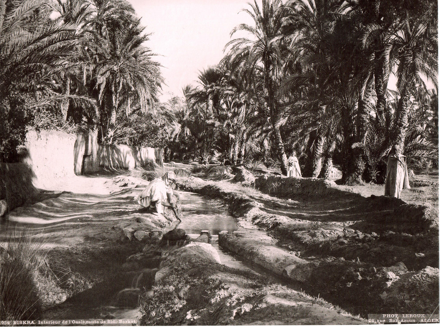 Leroux. Alger. Algérie. Biskra.Intérieur de l'Oasis de Sidi-Barkat. Photo 22 x 28cm. 1890. Photo LEROUX, 26 rue Bab-Azoum à Alger.