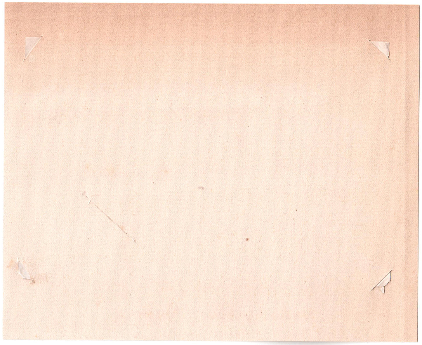 Brésil.Brasil.Bahia, "Jardin Public de Bahia" 1880. Photo Albuminée originale.Format photo 9,7cm x 14,5cm montée sur support papier 13,5x16,5cm.