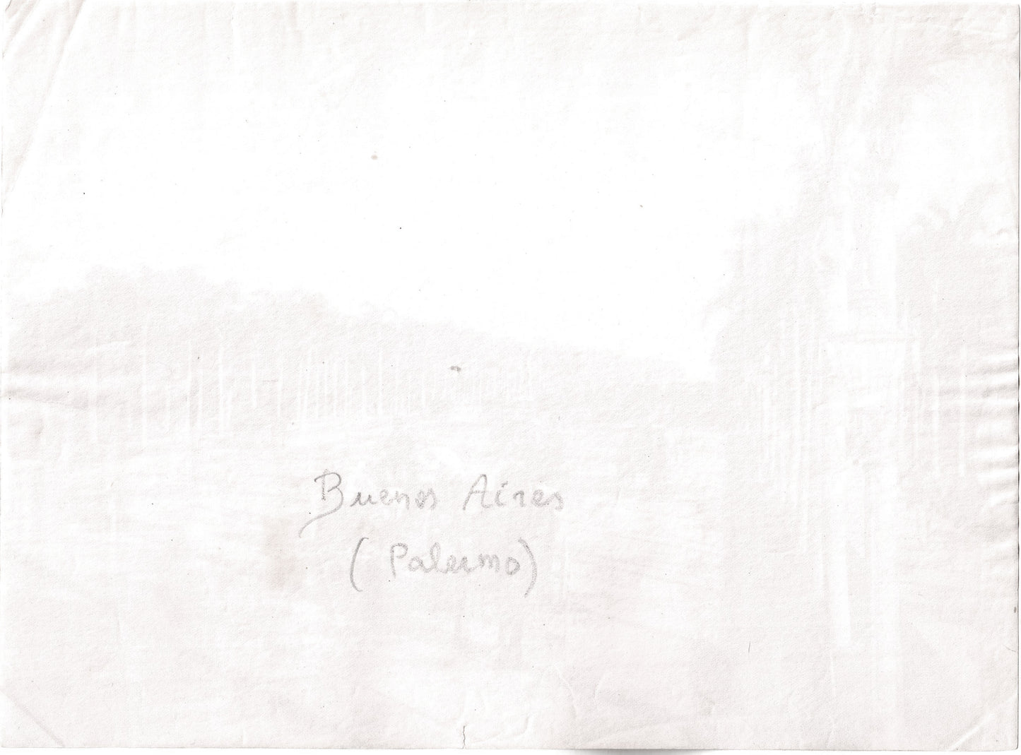 Buenos Aires.Palermo.Avenida 3 de Febrero.Argentine.Argentina 1880, Photo Albuminée originale de Samuel Boote,Bs As.Format 16,8x 22,8cm.