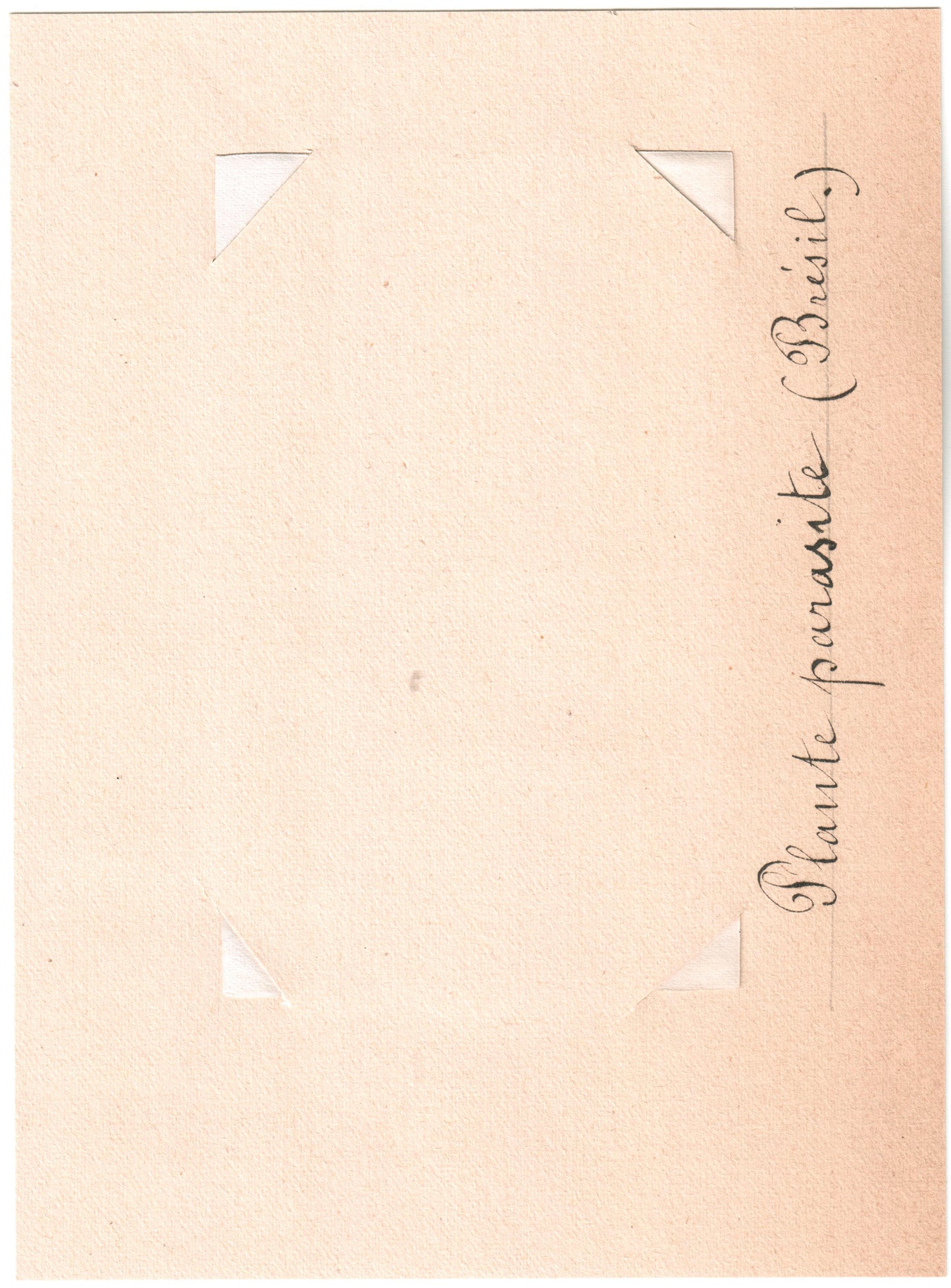 Brésil.Brasil.Bahia, "Négresse de Bahia" 1880. Photo Albuminée originale.Format photo 5,6cm x 9,1cm montée sur support papier 10x13,7cm.