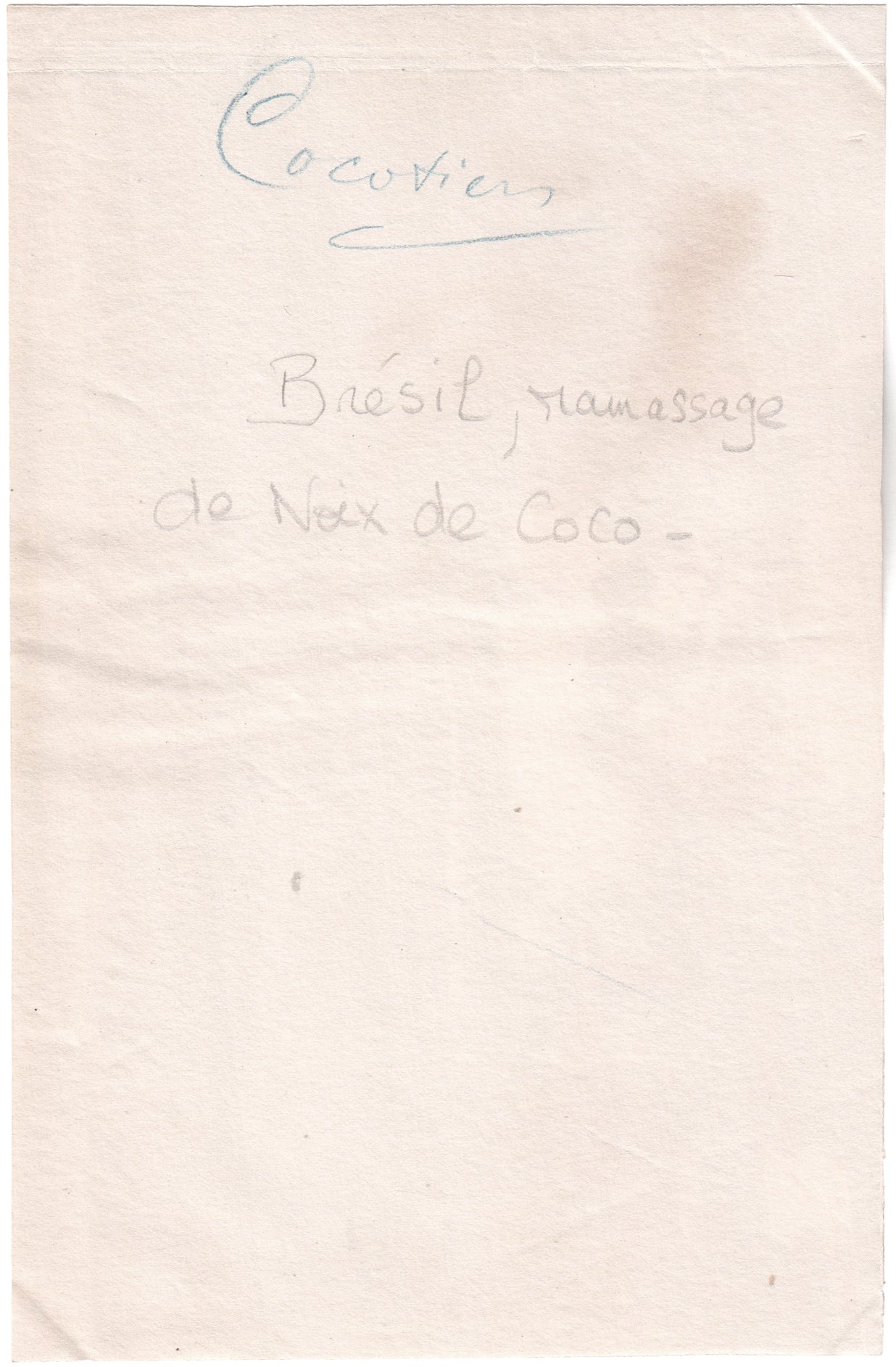 Brésil.Brasil.Bahia,"Cocotiers, ramassage de noix de coco" 1880. Photo Albuminée originale.Format photo 10,2cm x 15,8cm.