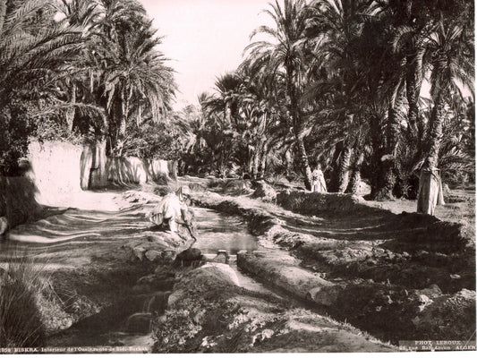 Leroux. Alger. Algérie. Biskra.Intérieur de l'Oasis de Sidi-Barkat. Photo 22 x 28cm. 1890. Photo LEROUX, 26 rue Bab-Azoum à Alger.