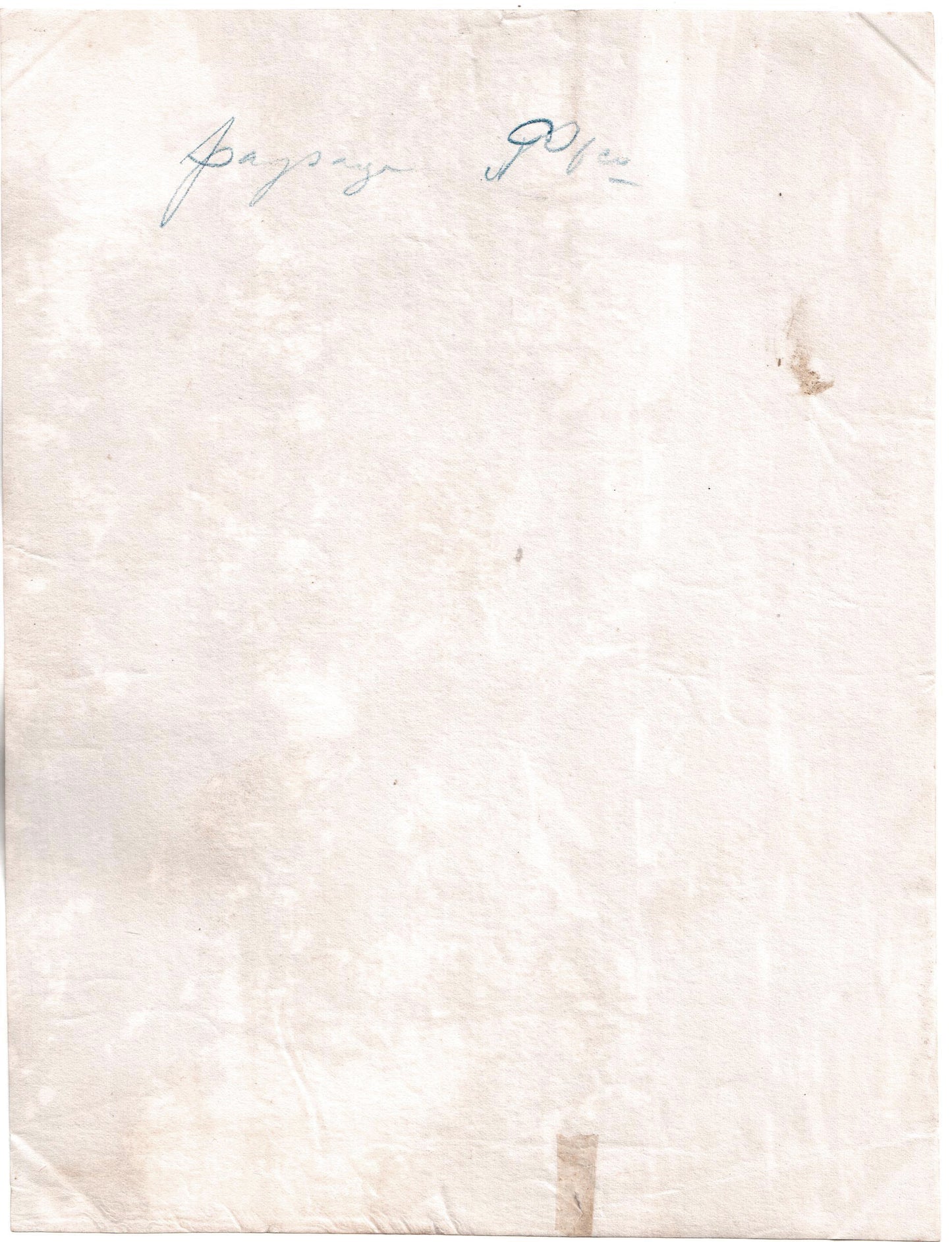 Brésil.Brasil.Pernambuco.Attribué à Alfredo Ducasble 1880."Paysage de Pernambuco" Photo Albuminée originale.Format photo 15,7cm x 20,5cm.