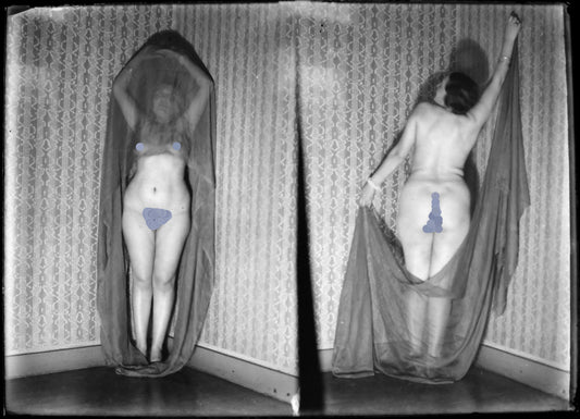 Nu, Erotisme, Artistique, Une femme nue voilée.Deux images sur une plaque de verre négative 13x18cm , Photo image négatif sur verre 1900'.Réf:491