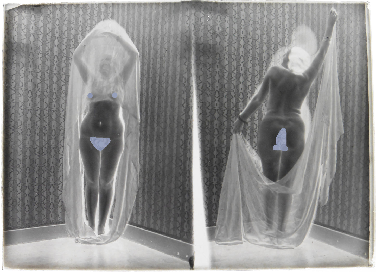 Nu, Erotisme, Artistique, Une femme nue voilée.Deux images sur une plaque de verre négative 13x18cm , Photo image négatif sur verre 1900'.Réf:491