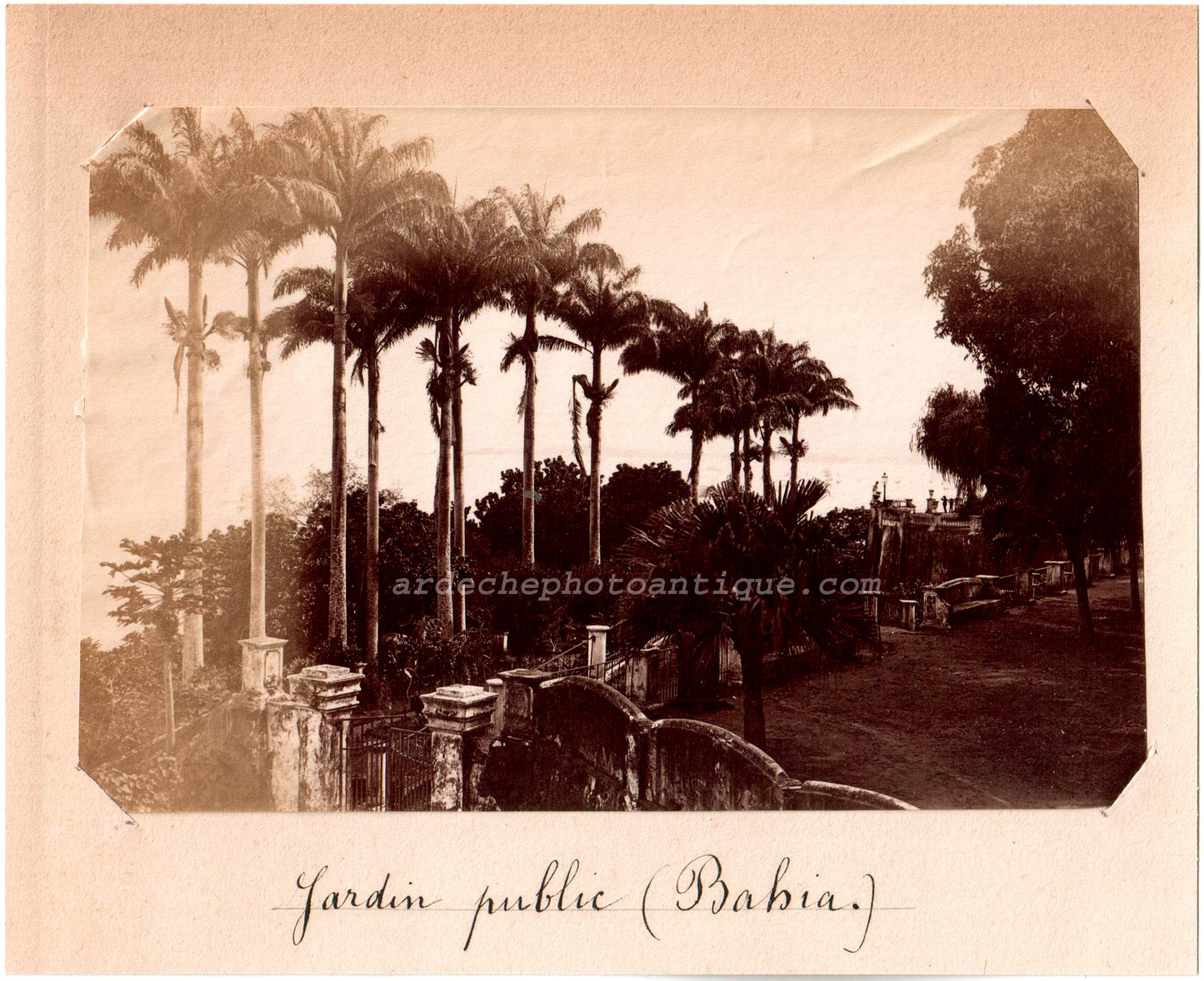 Brésil.Brasil.Bahia, "Jardin Public de Bahia" 1880. Photo Albuminée originale.Format photo 9,7cm x 14,5cm montée sur support papier 13,5x16,5cm.