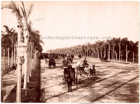Buenos Aires.Palermo.Avenida 3 de Febrero.Argentine.Argentina 1880, Photo Albuminée originale de Samuel Boote,Bs As.Format 16,8x 22,8cm.
