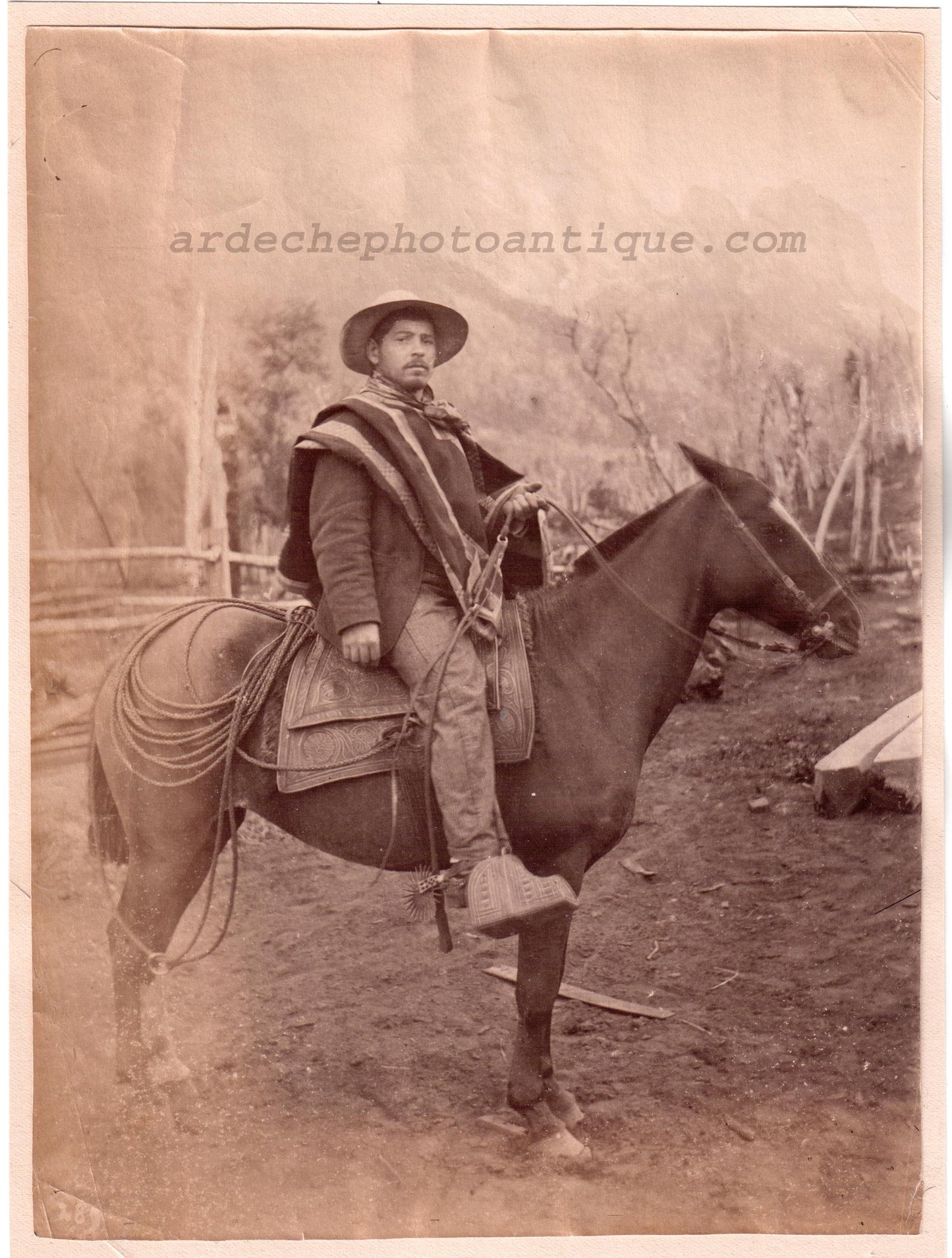 Chile.Chili.Huaso Chileno.1880.Photo Albuminée originale.Format photo 16,2x22cm, montée sur papier 17x23cm.