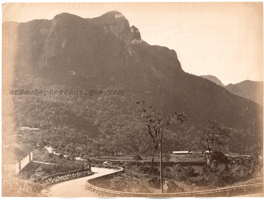 Brésil.Brasil.Pétropolis 1880."Route de la Serra de la Plaine à Pétropolis" Photo Albuminée originale.Format photo 20cm x 26,8cm.